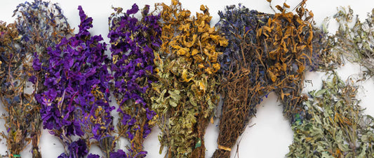Dry Herb Vaporizing: From Cannabis to Medicinal Herbs